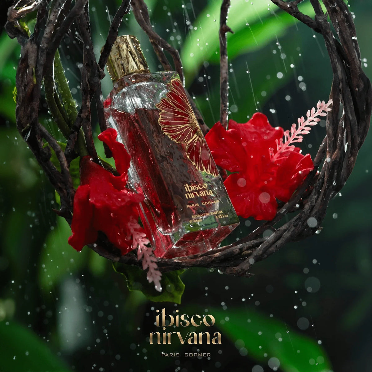 Paris Corner Ibisco Nirvana  EDP 65ml
